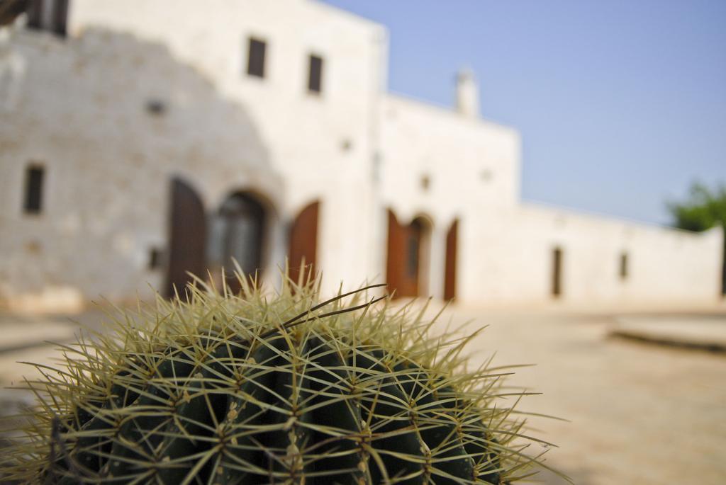 Masseria Valente Ostuni Habitación foto